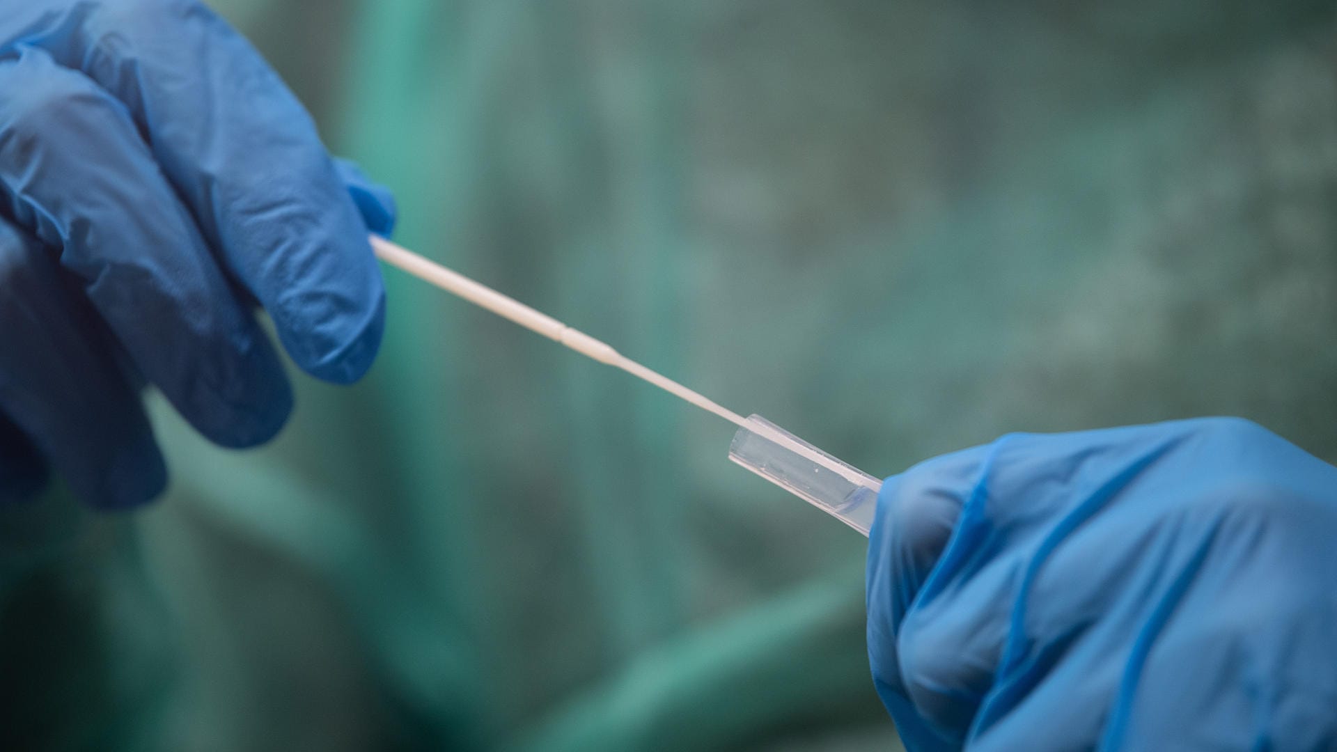 Schnelltest auf das Coronavirus: Omikron breitet sich in Deutschland weiter aus. Schnelltest auf das Coronavirus: Omikron breitet sich in Deutschland weiter aus.