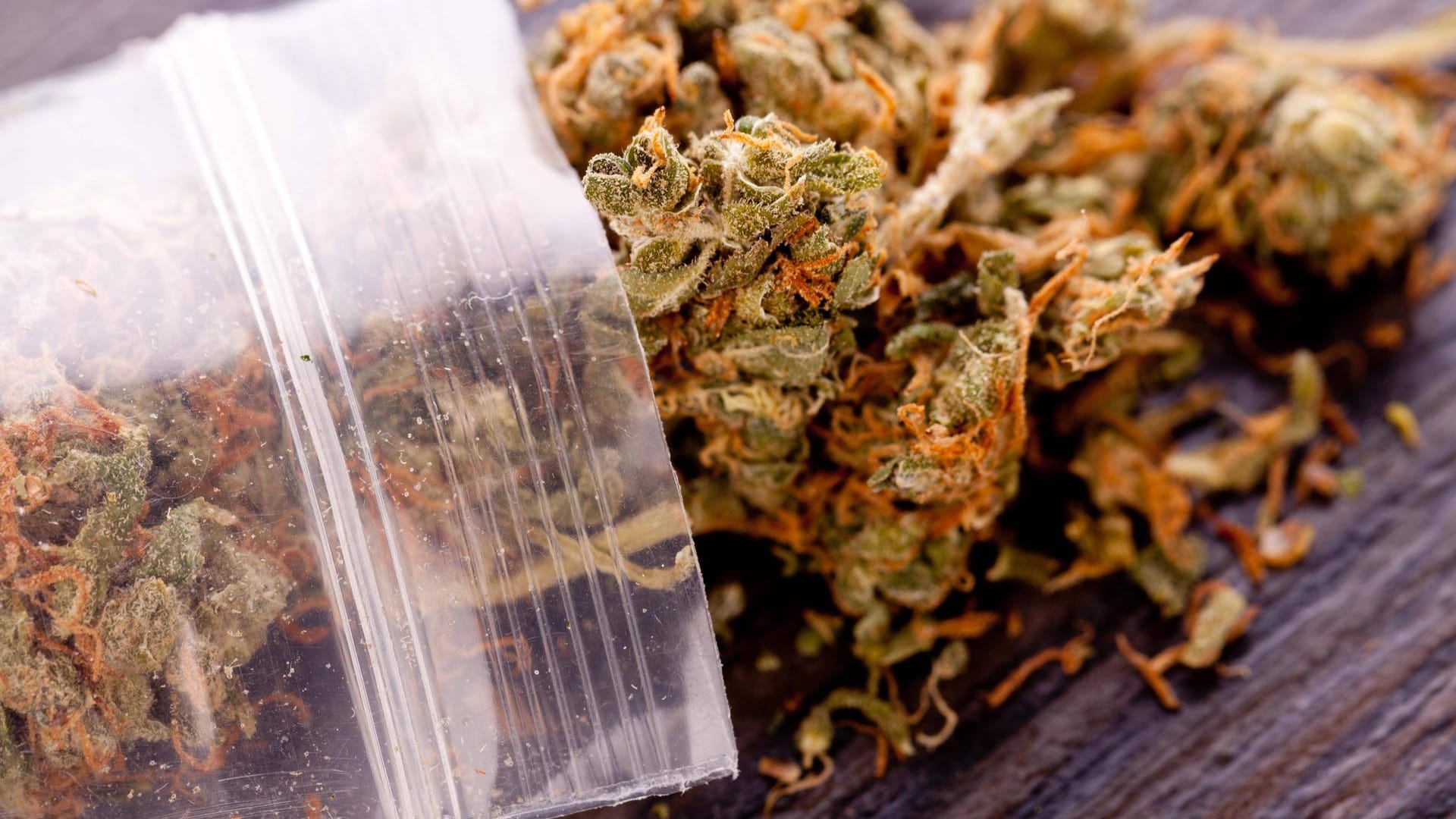 Cannabis in einer Plastiktüte (Symbolbild): Die Polizei stellte diverse Drogen bei der Durchsuchung fest. Cannabis in einer Plastiktüte (Symbolbild): Die Polizei stellte diverse Drogen bei der Durchsuchung fest.