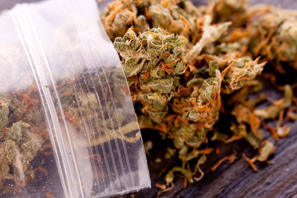 Cannabis in einer Plastiktüte (Symbolbild): Die Polizei stellte diverse Drogen bei der Durchsuchung fest.