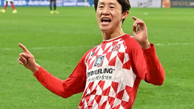 FSV Mainz 05 - TSG 1899 Hoffenheim