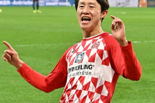 FSV Mainz 05 - TSG 1899 Hoffenheim