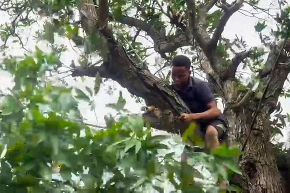 Ein Mann schneidet Äste von einem Baum, um Stromleitungen freizulegen, während er sich darauf vorbereitet, dass der tropische Wirbelsturm "Batsirai" Zentral-Madagaskar erreicht.