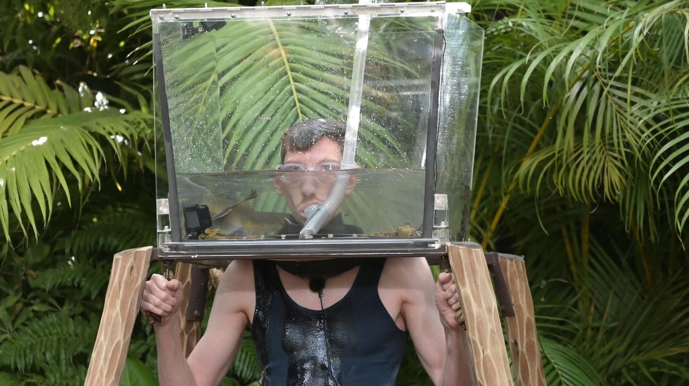 Manuel Flickinger im "Dschungel-Aquarium".