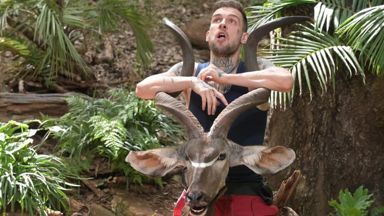 Eric Stehfest: Der Schauspieler musste in der Prüfung Kudu-Hirn essen.