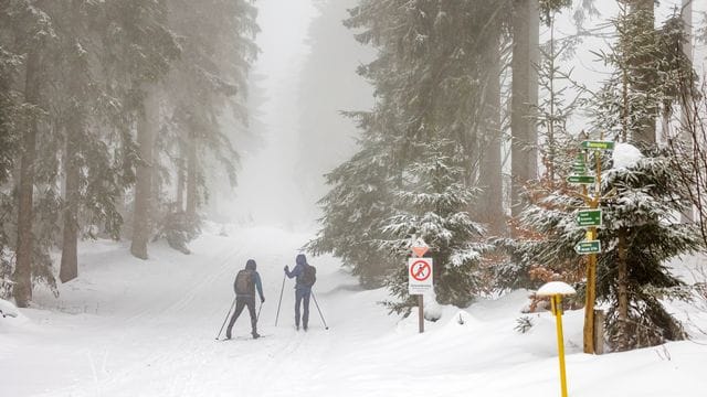 Winterwetter im Thüringer Wald