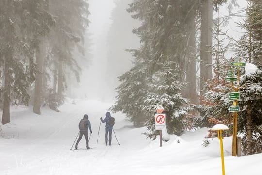 Winterwetter im Thüringer Wald