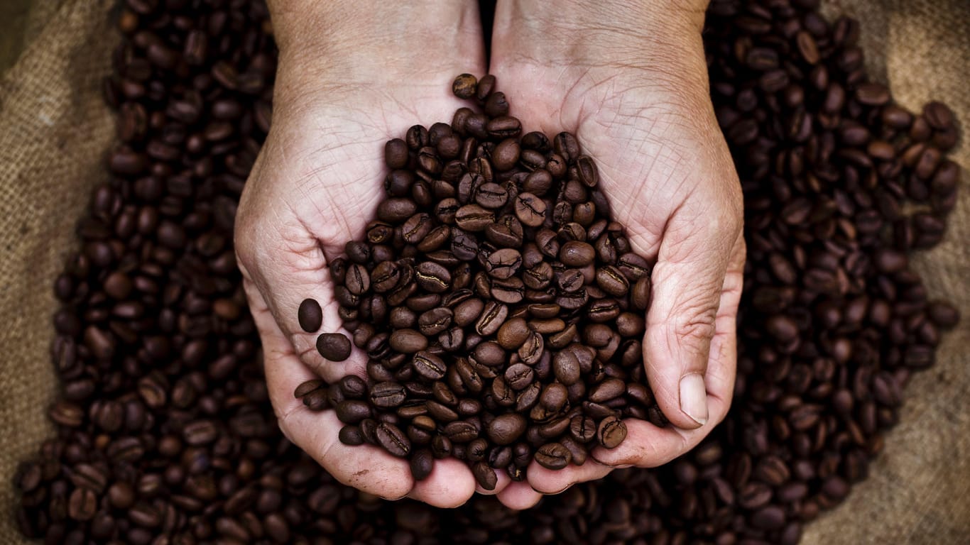 Kaffebohnen: Der Pfundpreis soll zwischen 0,50 Euro und 1,30 Euro steigen.