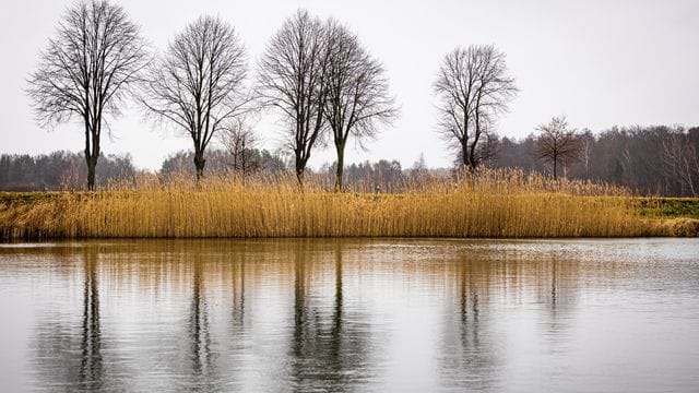 Trübes Wetter in Niedersachsen