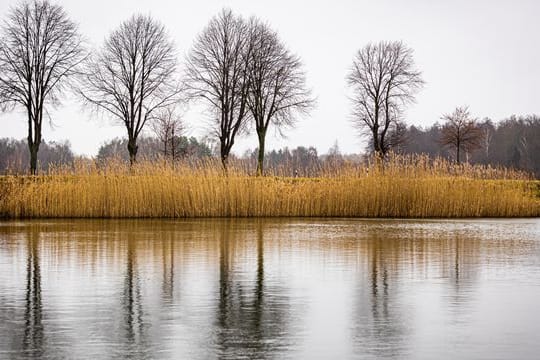 Trübes Wetter in Niedersachsen
