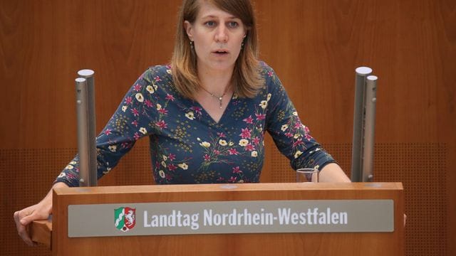 Fraktionsvorsitzende Schäffer