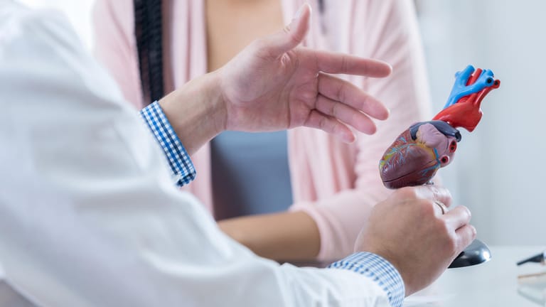 Arzt erklärt einem Patienten etwas anhand eines Herzmodells