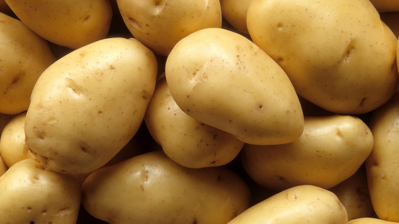 Kartoffeln: Wenn die Knollen frisch bleiben sollen, müssen sie kühl und dunkel aufbewahrt werden.