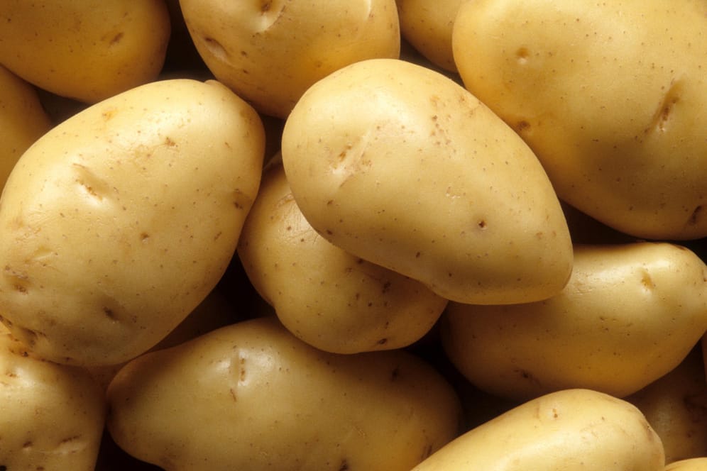 Kartoffeln: Wenn die Knollen frisch bleiben sollen, müssen sie kühl und dunkel aufbewahrt werden.