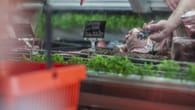 Videokommentar zum Fleischkonsum: "Die Preise steigen –..
