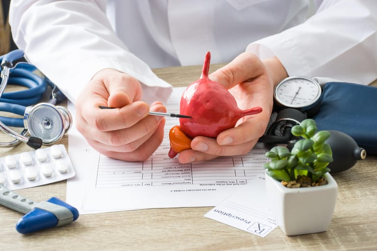Doktor zeigt Modell einer Blase: Operationen: Wenn keine Therapie hilft oder eine Senkung der Blase vorliegt, muss in manchen Fällen operiert werden. Bei einer Belastungsinkontinenz beispielsweise wird in einer minimalinvasiven Operation ein spannungsfreies Bändchen eingesetzt, um die Harnröhre zu stützen. Das verhindert plötzlichen Urinverlust bei Belastung.