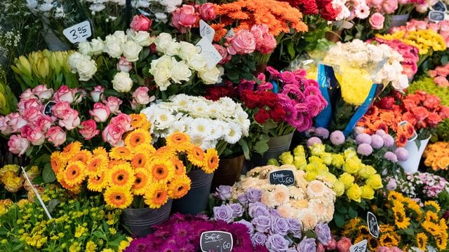 Ob Chrysanthemen, Gerbera oder der romantische Klassiker Rose: Schnittblumen zum Valentinstag werden in diesem Jahr aufgrund der hohen Energiepreise deutlich teurer.