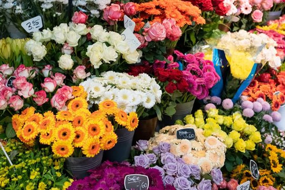 Ob Chrysanthemen, Gerbera oder der romantische Klassiker Rose: Schnittblumen zum Valentinstag werden in diesem Jahr aufgrund der hohen Energiepreise deutlich teurer.