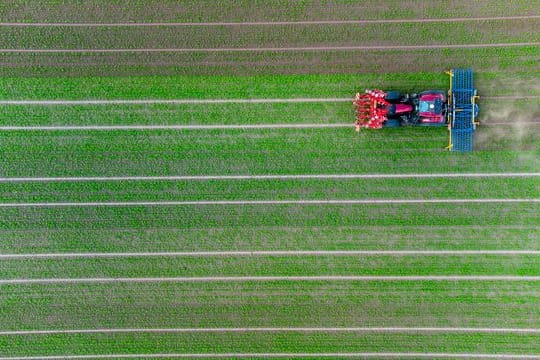 Landwirtschaft