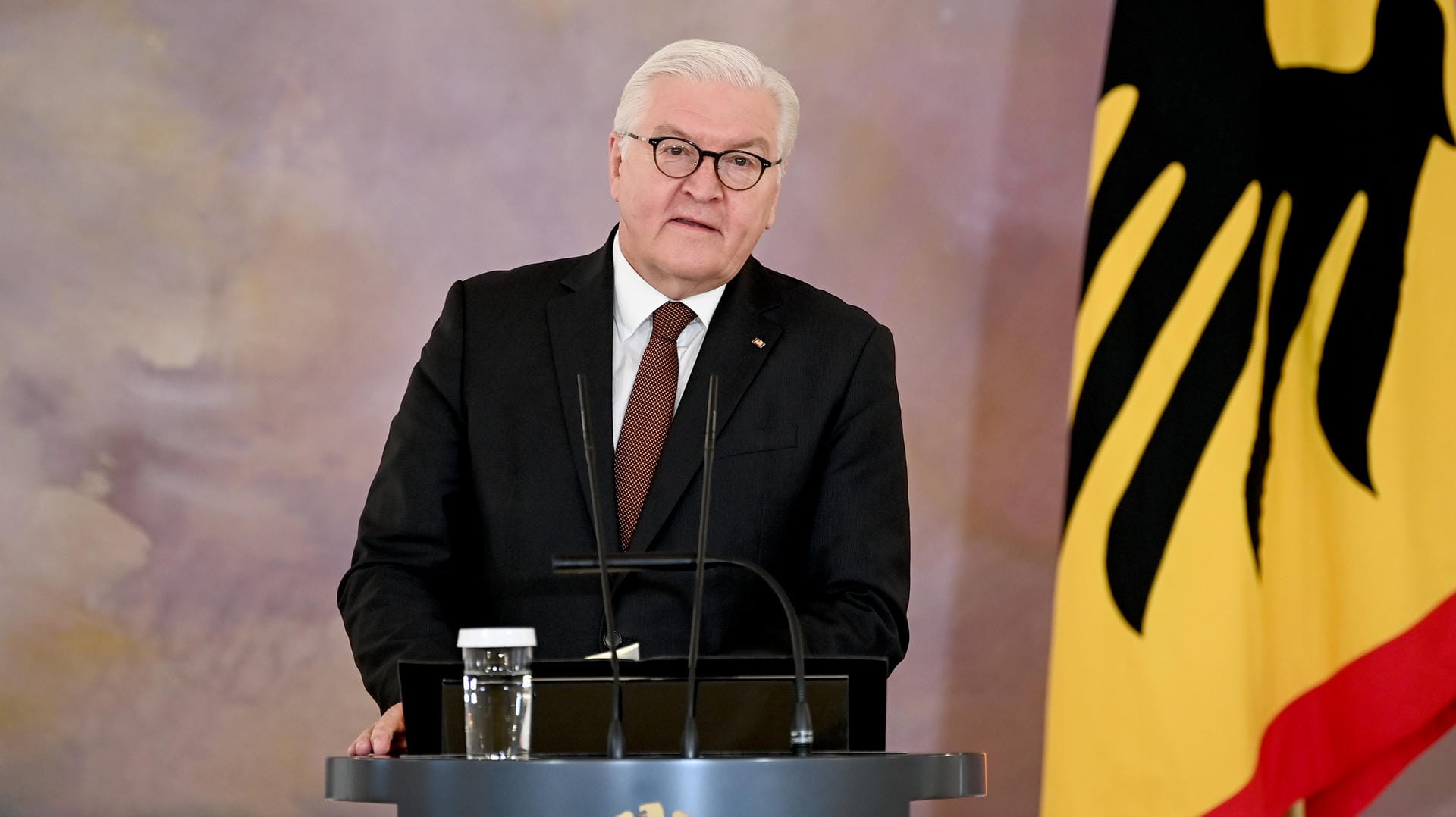 Frank-Walter Steinmeier: Der Bundespräsident stellt sich zur Wiederwahl.