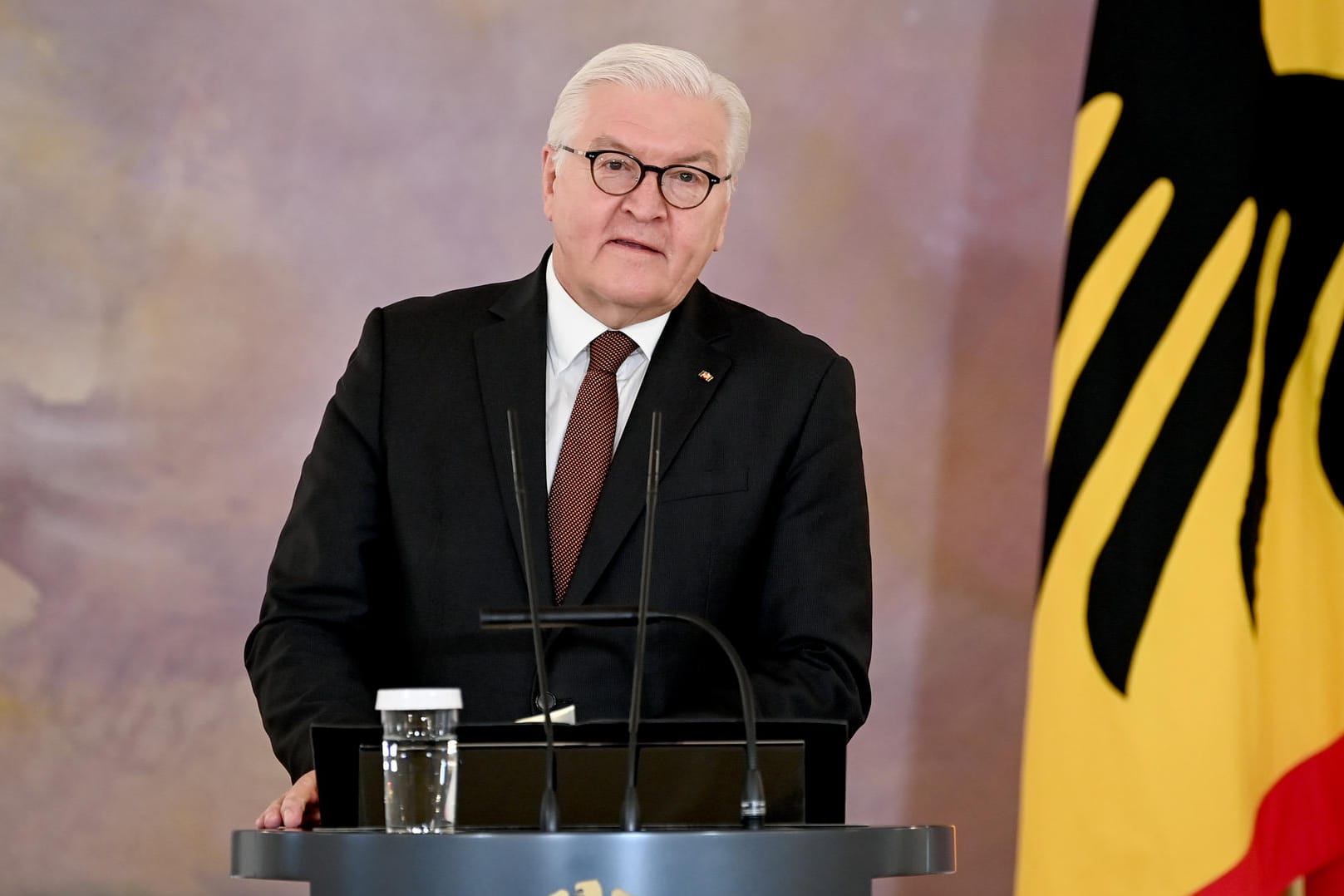 Frank-Walter Steinmeier: Der Bundespräsident stellt sich zur Wiederwahl.