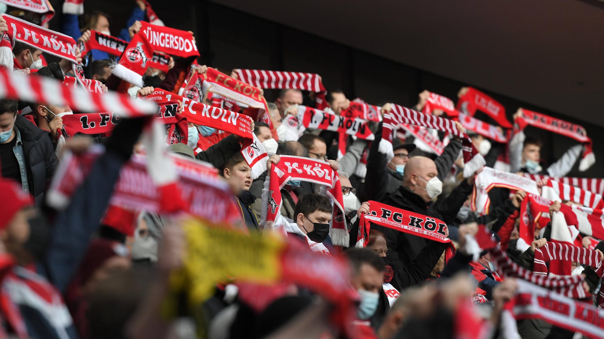 Fans des 1. FC Köln im Stadion (Archivbild): Bald soll das RheinEnergieStadion wieder 25.000 Zuschauer fassen. Fans des 1. FC Köln im Stadion (Archivbild): Bald soll das RheinEnergieStadion wieder 25.000 Zuschauer fassen.