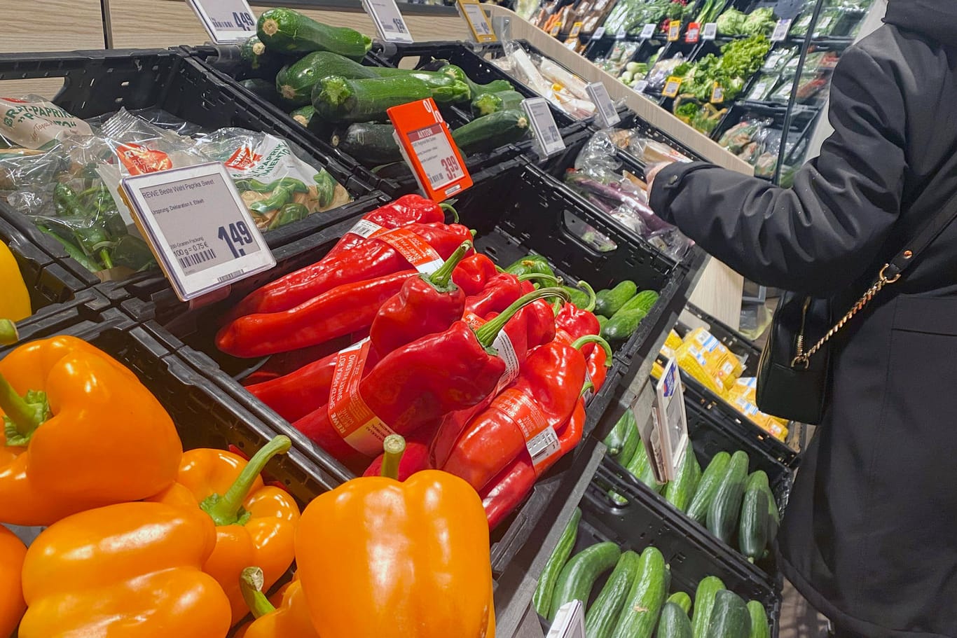 Gemüse liegt in einem Supermarkt aus (Symbolbild): Das ifo-Institut warnt vor stark ansteigenden Lebensmittelpreisen.