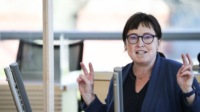 Grüne zur Landtagswahl