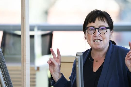 Grüne zur Landtagswahl