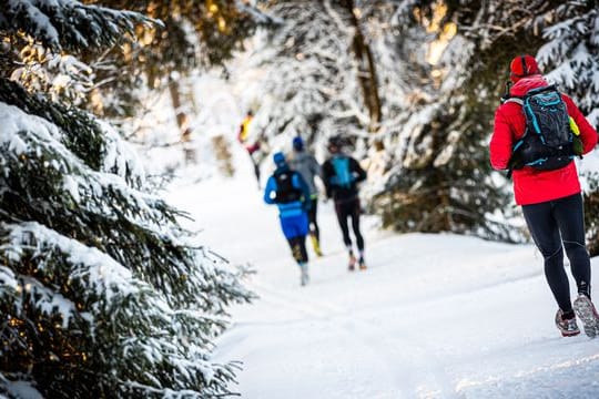 Ultramarathon "Brocken-Challenge"