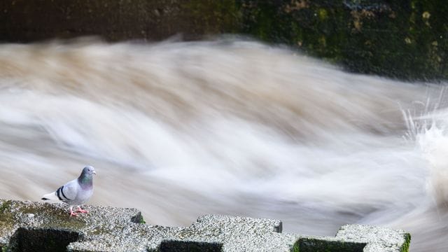 Stärkere Regenfälle hatten die Flusspegel in Niedersachsen Anfang Februar steigen lassen.