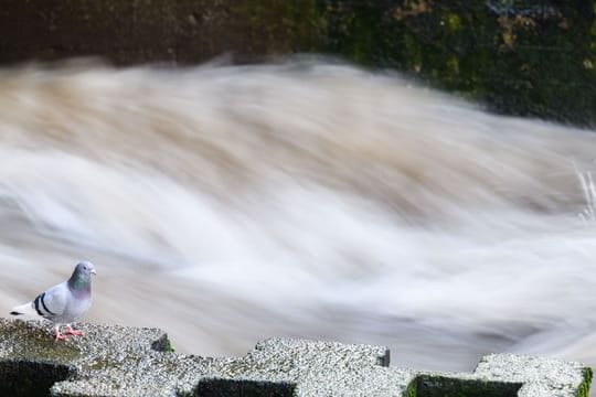 Stärkere Regenfälle hatten die Flusspegel in Niedersachsen Anfang Februar steigen lassen.