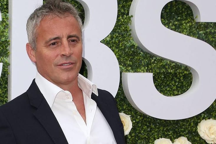 Matt LeBlanc: Der Schauspieler ist wieder Single.