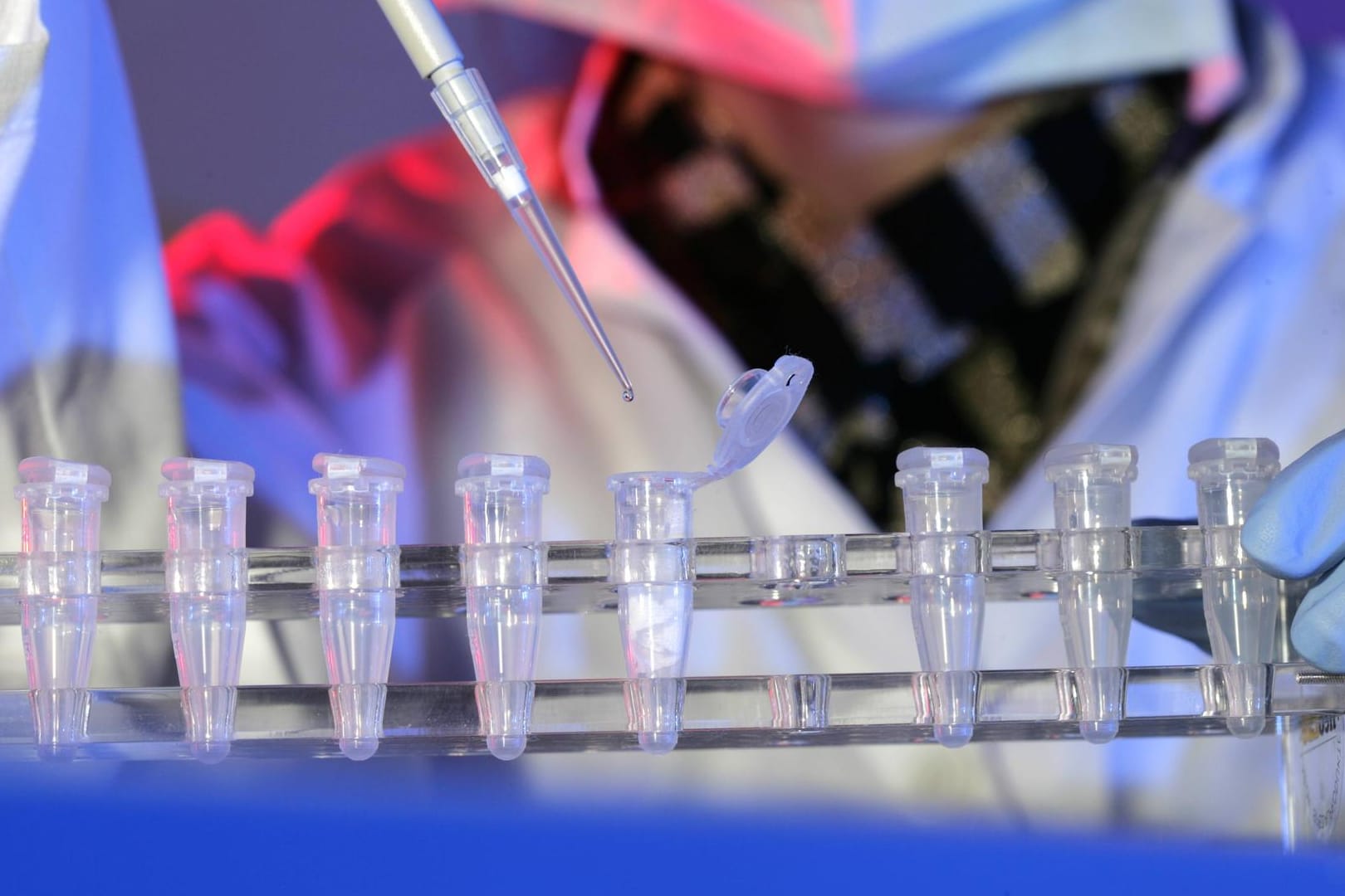 DNA-Analyse (Symbolbild): Zehn Jahre nach der Tat konnten die konservierten Spuren dem mutmaßlichen Täter zugeordnet werden.