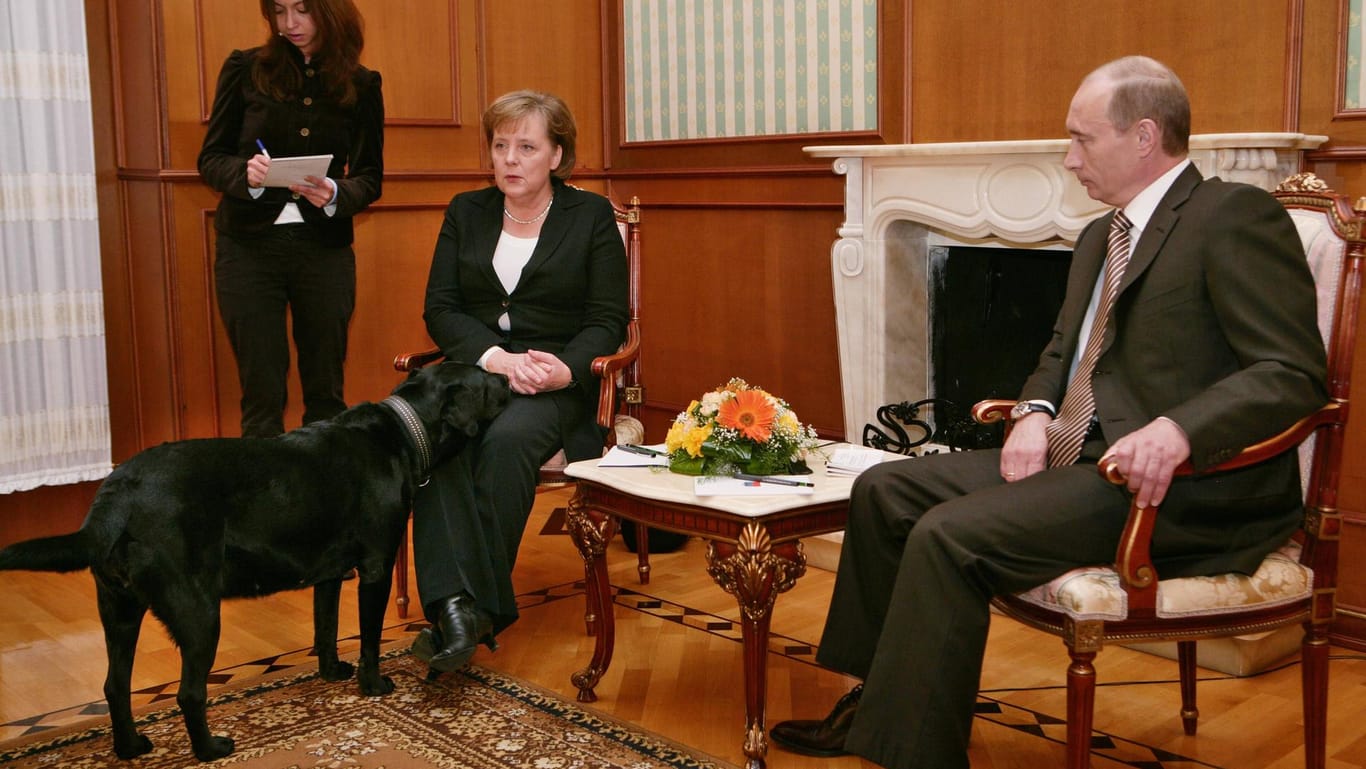 Im Januar 2007 versuchte Putin, Merkel mit seinem Hund einzuschüchtern.