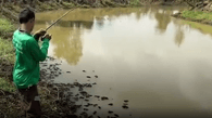 Angler zieht gefährliches Raubtier aus dem Wasser