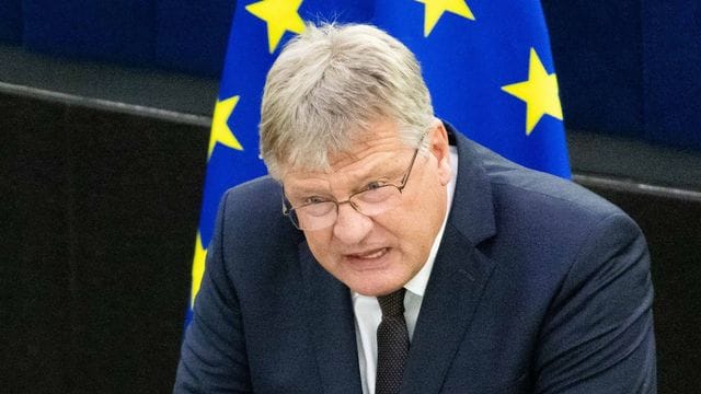 Das EU-Parlament hat dem fraktionslosen Europaabgeordneten und ehemaligen AfD-Vorsitzenden Jörg Meuthen die parlamentarische Immunität entzogen.