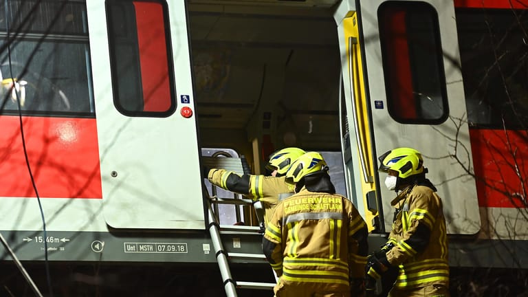 Feuerwehrleute befestigen eine Leiter an einem der verunfallten S-Bahnwagen.