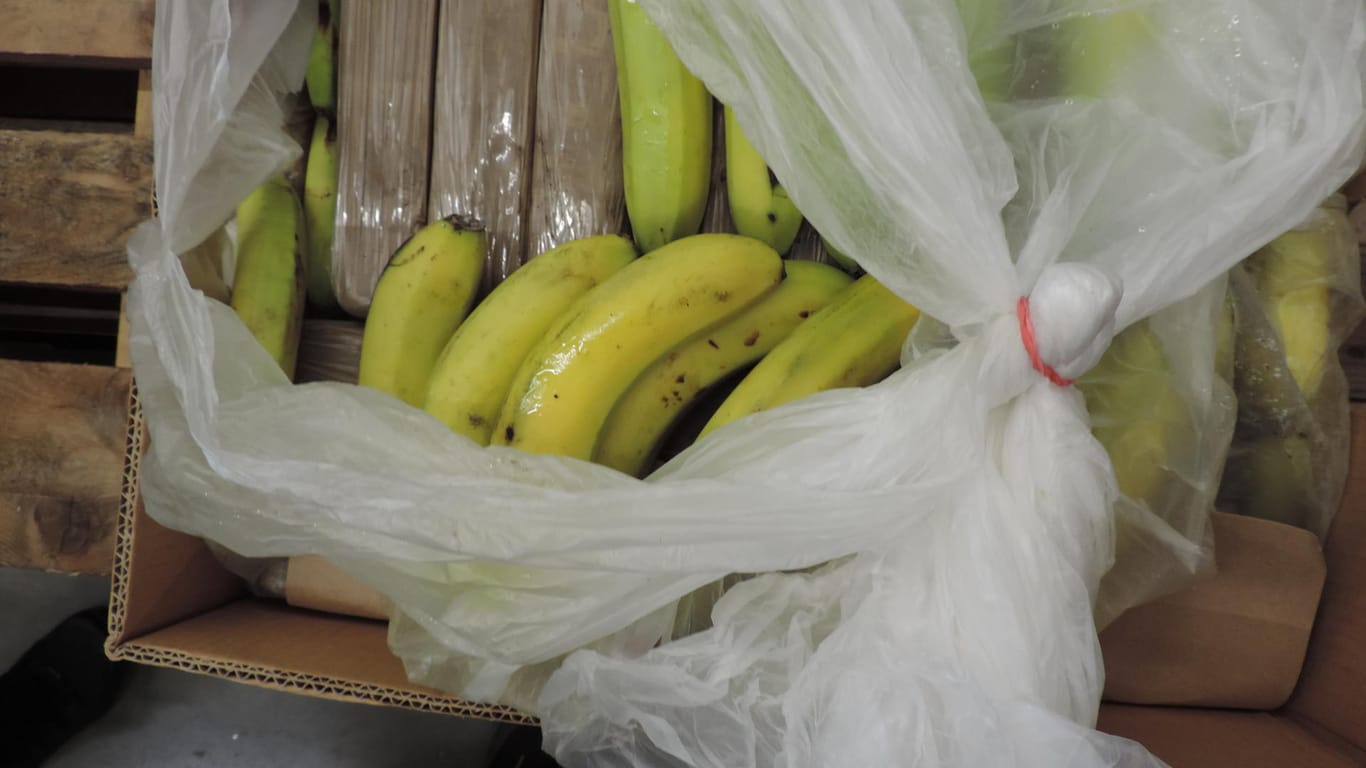 15.02.2022, Bayern, Bamberg: In einem Karton sind unter Bananen Päckchen mit mutmaßlichem Kokain versteckt. Ermittler fanden mehr als 500 solcher Pakete in einer Lieferung nach Franken.
