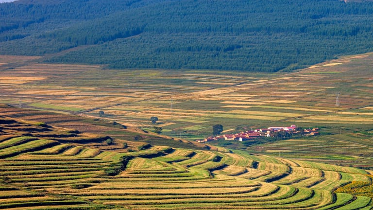 Der Blick über eine sommerliche Landschaft in der Gegend um Zhangjiakou: Das Gebiet ist eigentlich landwirtschaftlich geprägt. Viele Nutzpflanzen werden auf Terrassen angebaut.
