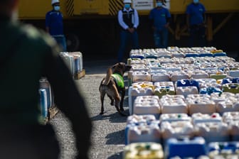 Drogen-Polizei im Einsatz mit einem Spürhund (Symbolbild): Ermittler haben einem der berüchtigtsten Kokain-Netzwerke Europas einen empfindlichen Schlag versetzt.