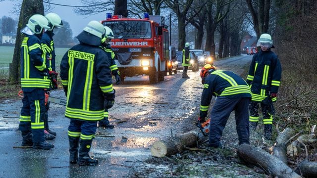 Die Feuerwehr räumt einen umgestürzten Baum von einer Straße