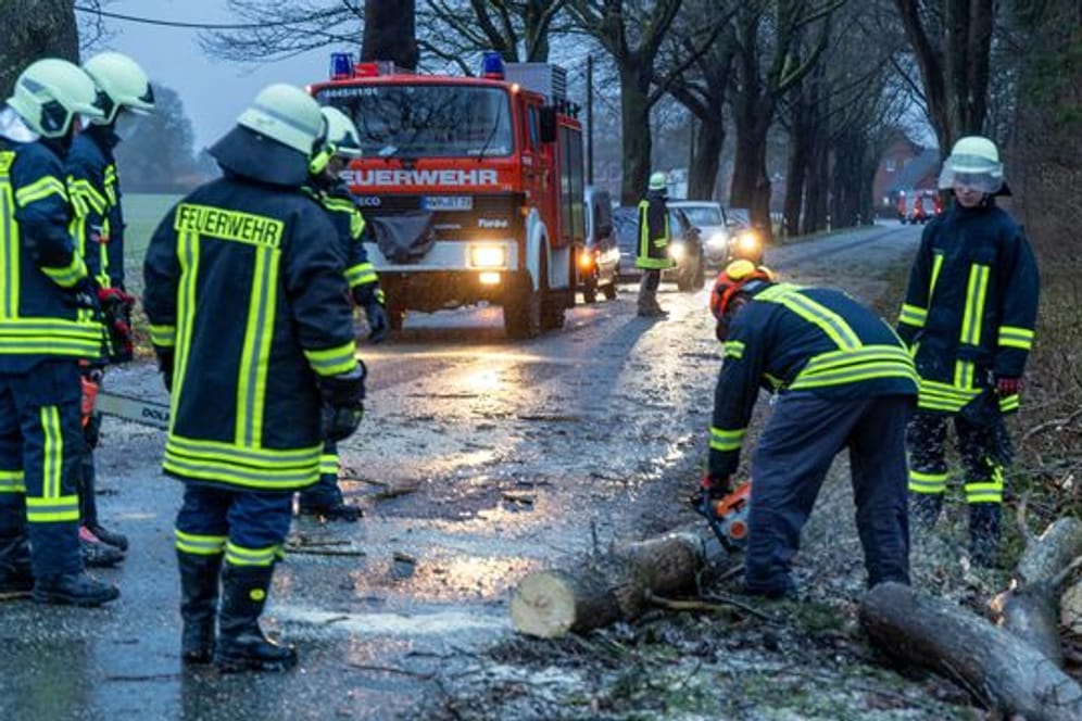 Die Feuerwehr räumt einen umgestürzten Baum von einer Straße