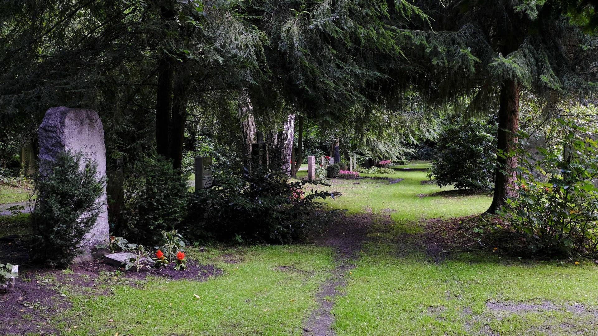 Gräber auf einem Friedhof (Archivbild): Wegen herabfallender Äste könnte Gefahr auf den Friedhöfen bestehen.