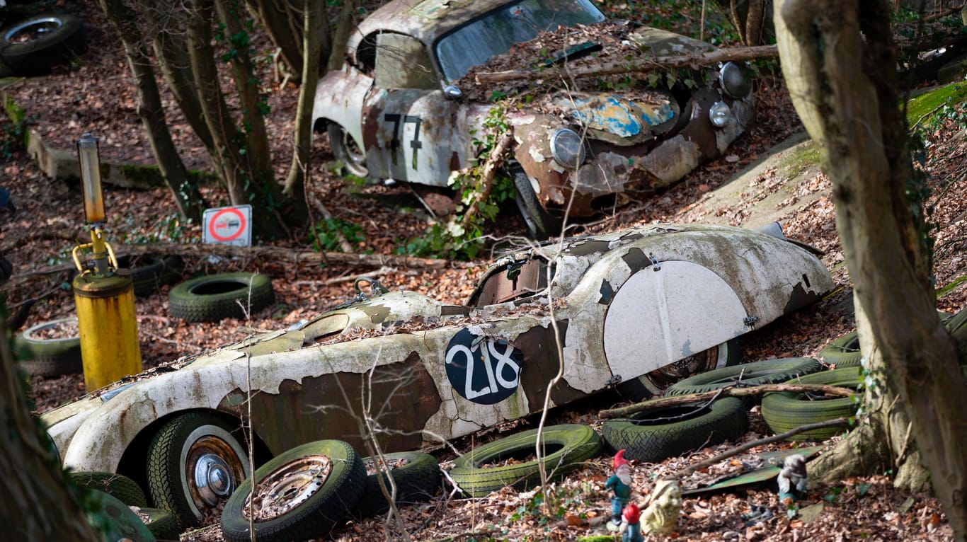 Auto-Skulpturen-Park im Neandertal: "Die Natur überlebt uns alle. Menschenwerk ist vergänglich", sagt Sammler Michael Fröhlich.