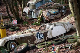 Auto-Skulpturen-Park im Neandertal: "Die Natur überlebt uns alle. Menschenwerk ist vergänglich", sagt Sammler Michael Fröhlich.