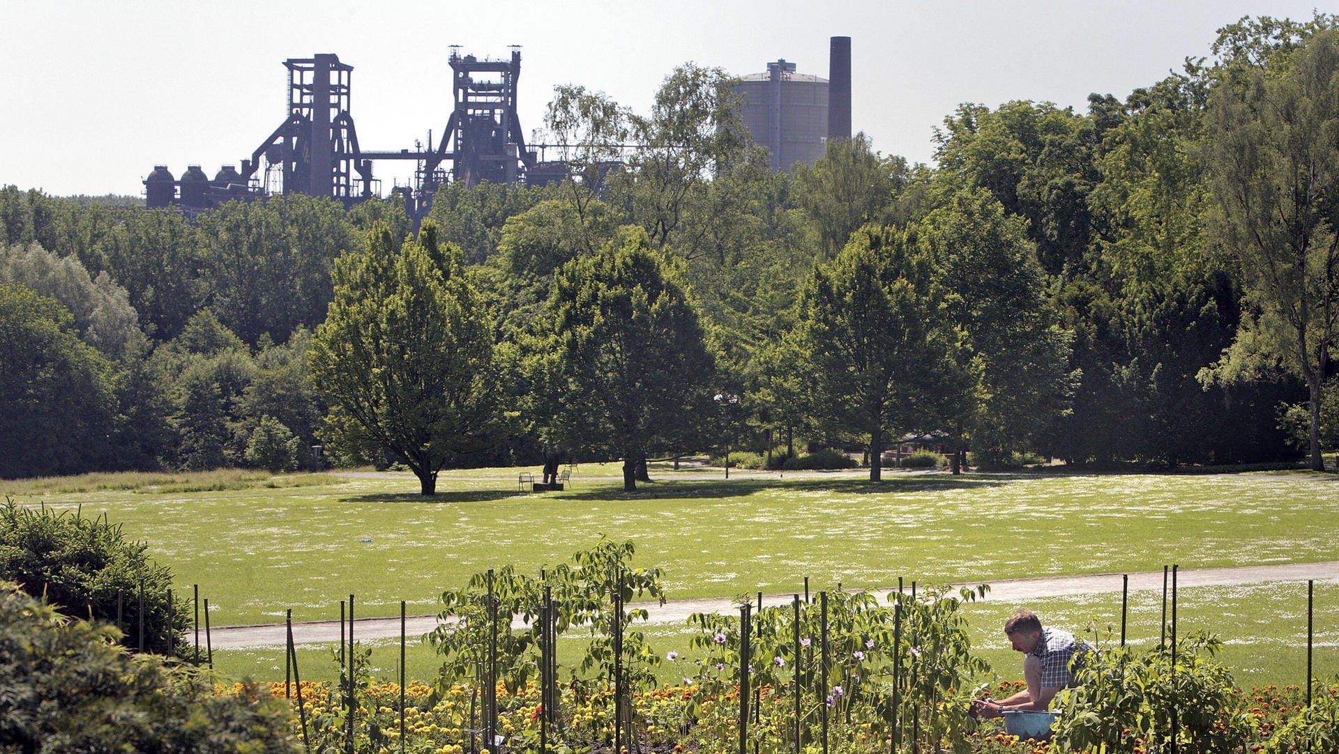 Der Westfalenpark in Dortmund (Archivbild): Wegen des angekündigten Unwetters bleibt er am Donnerstag geschlossen. Der Westfalenpark in Dortmund (Archivbild): Wegen des angekündigten Unwetters bleibt er am Donnerstag geschlossen.