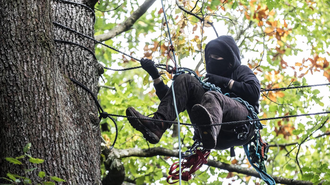 Umweltaktivist im Frankfurter Riederwald (Archivfoto): Welche Folgen hat der Protest der Waldbesetzer?