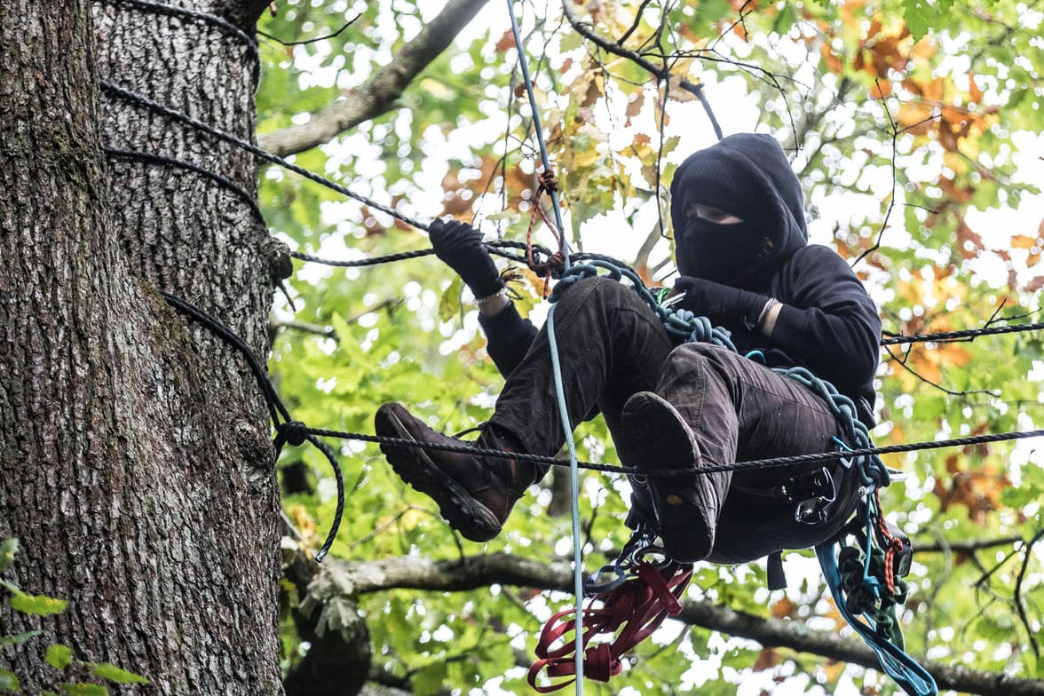 Umweltaktivist im Frankfurter Riederwald (Archivfoto): Welche Folgen hat der Protest der Waldbesetzer?