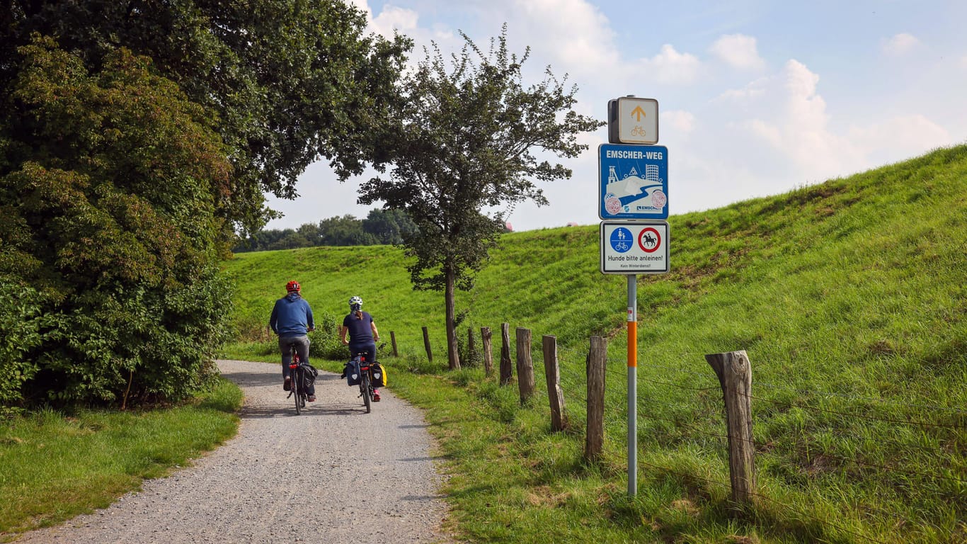 Zwei Fahrradfahrer unterwegs (Symbolbild): Auch Zwischen Bamberg und Nürnberg soll ein neuer Fahrradweg entstehen.