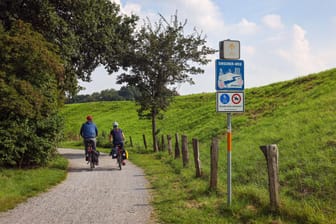 Zwei Fahrradfahrer unterwegs (Symbolbild): Auch Zwischen Bamberg und Nürnberg soll ein neuer Fahrradweg entstehen.